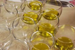 The Season\'s New Olive Oil, Puglia, Italy