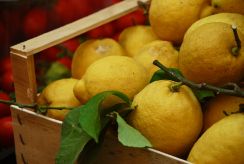 Lemons, Bologna, Italy